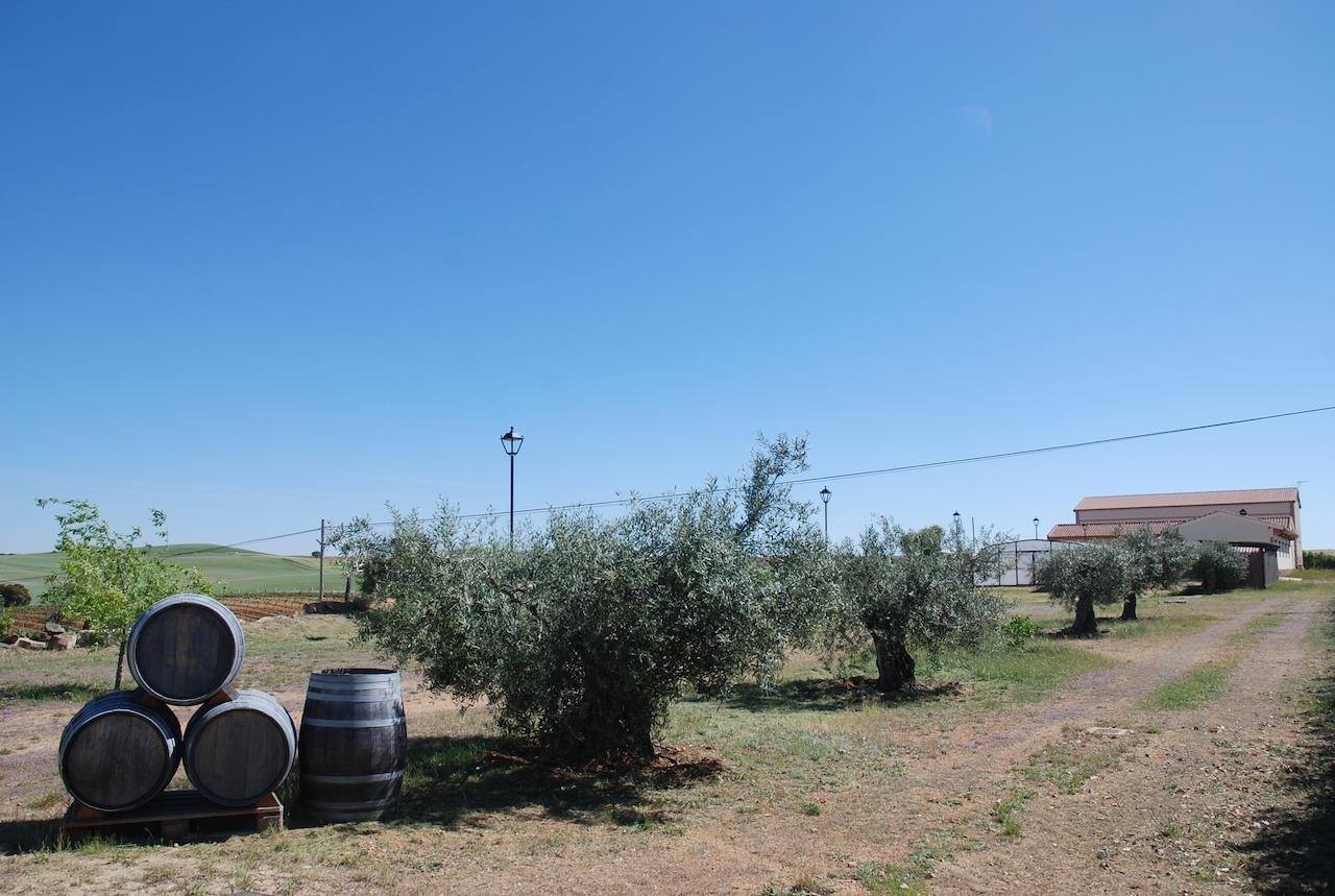 Casa Rural Teso De La Encina Villamor de los Escuderos Eksteriør billede