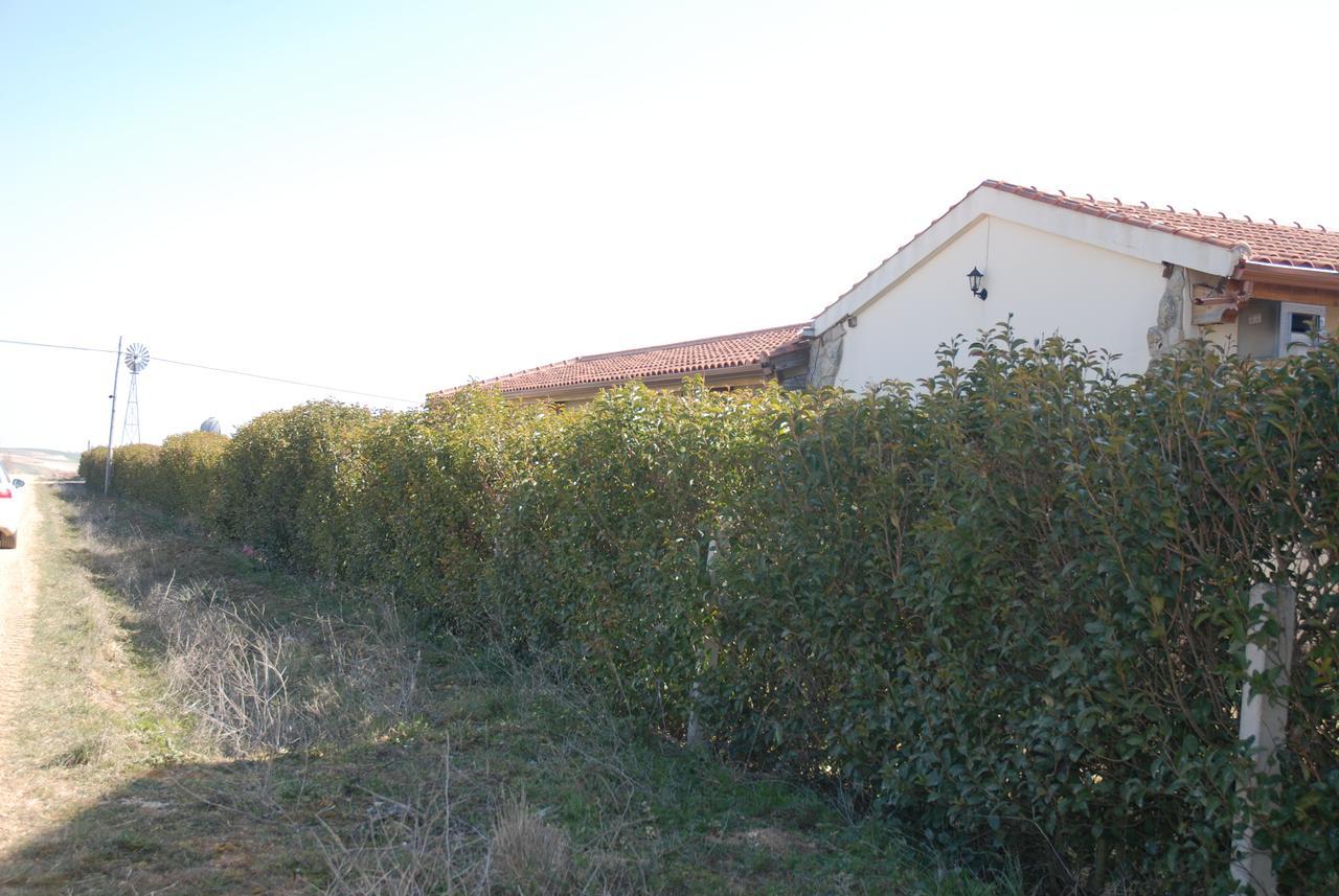 Casa Rural Teso De La Encina Villamor de los Escuderos Eksteriør billede