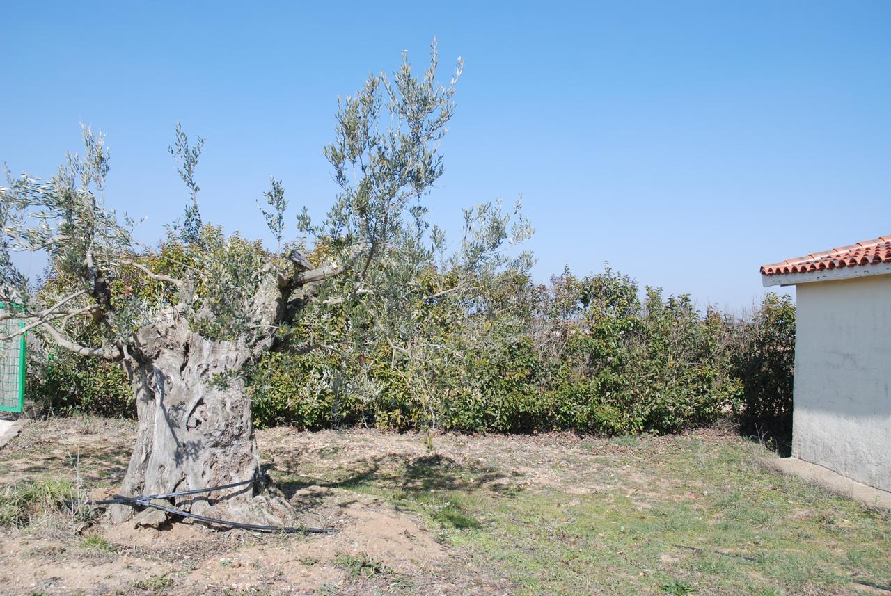 Casa Rural Teso De La Encina Villamor de los Escuderos Eksteriør billede