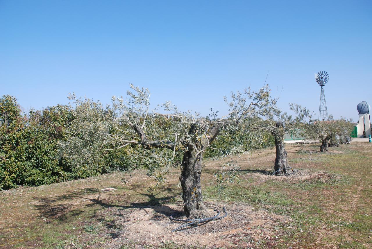 Casa Rural Teso De La Encina Villamor de los Escuderos Eksteriør billede