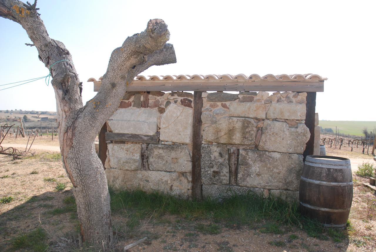 Casa Rural Teso De La Encina Villamor de los Escuderos Eksteriør billede